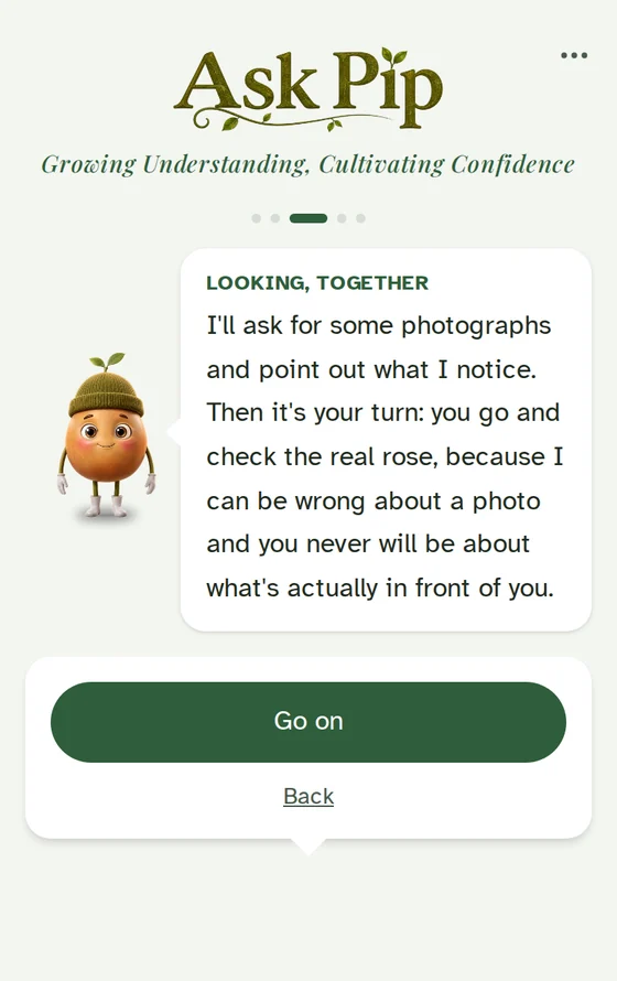 An Ask Pip screen headed Looking, together, in which Pip says it will ask for photographs and point out what it notices